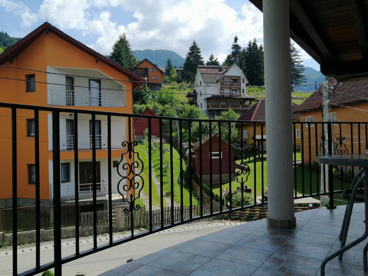 Pensiunea Timis Borşa Exterior foto